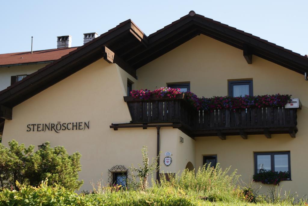 Haus Steinroeschen Apartment Зеефелд в Тирол Стая снимка